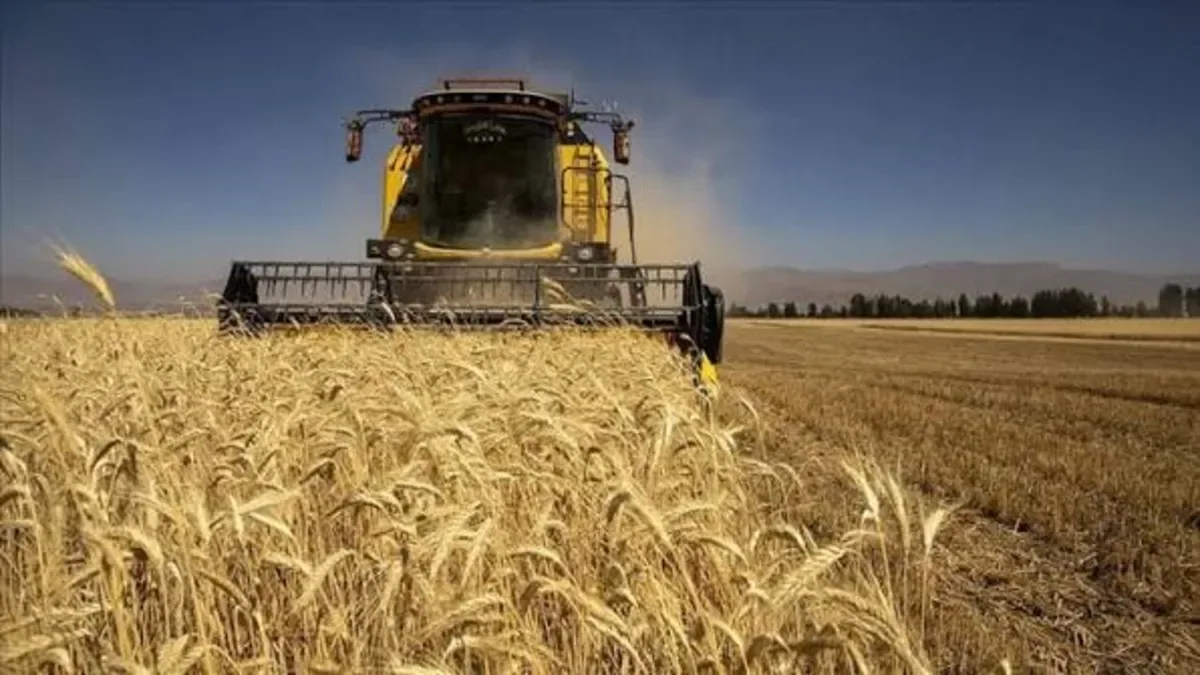 Türkiye'nin tarımsal hasılatı 2025'te 83,2 milyar dolara ulaşacak
