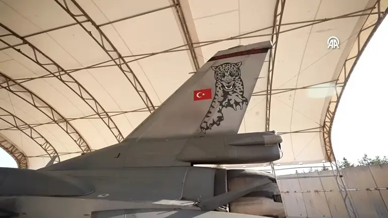 Pars filosuna "hava polisliği" görevi - 4
