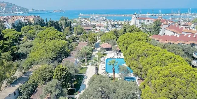 Vekâlet Verdiği Ağabeyi 300 Milyon Dolarlık Servetine El Koydu