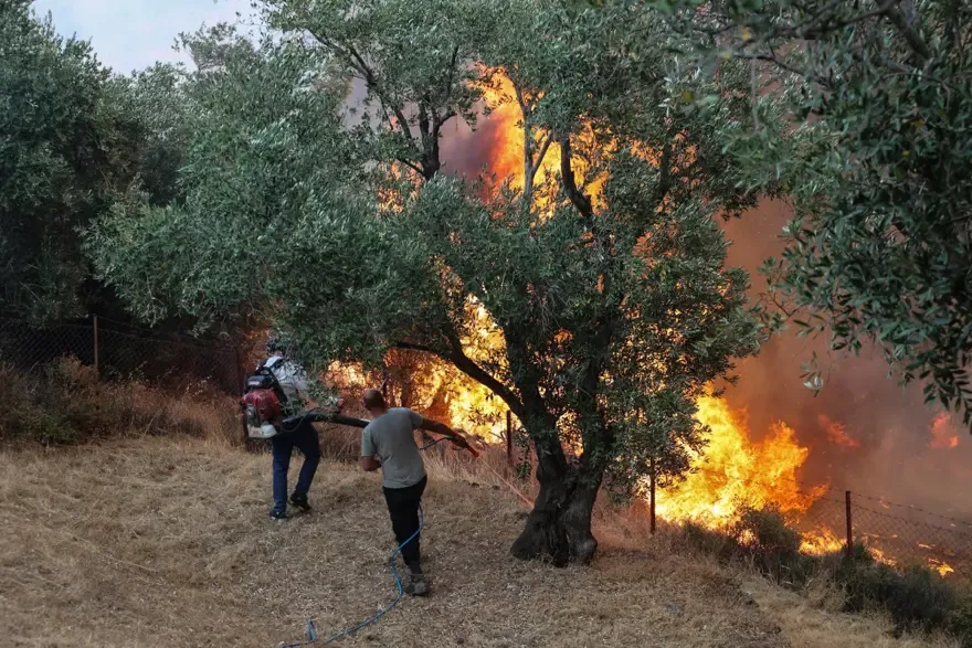 Yunanistan'da Orman Yangını Sahile Ulaştı, İtfaiyeciler Seferber Oldu