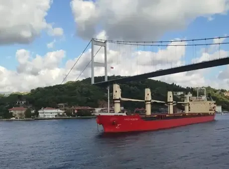 İstanbul Boğazı'nda gemi arızası nedeniyle trafik askıya alındı