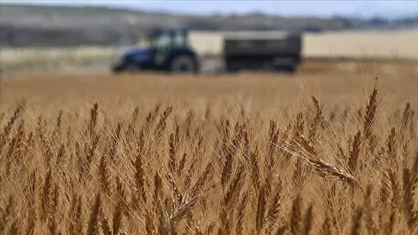 Türkiye'nin tarımsal hasılatı 2025'te 83,2 milyar dolara ulaşacak