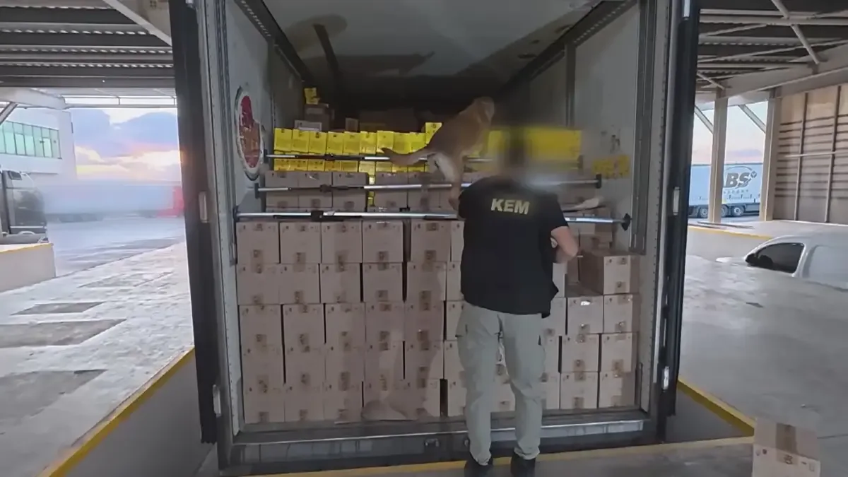 Silivri'de uyuşturucu operasyonu: 376 kilo marihuana ele geçirildi