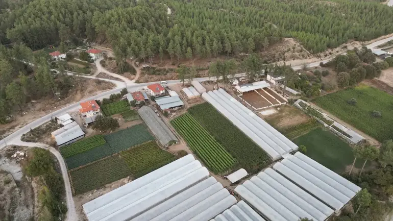 Yatırımcının gözdesi: Arsa! Hangi bölge revaçta, fiyatlar nasıl şekilleniyor? - 5
