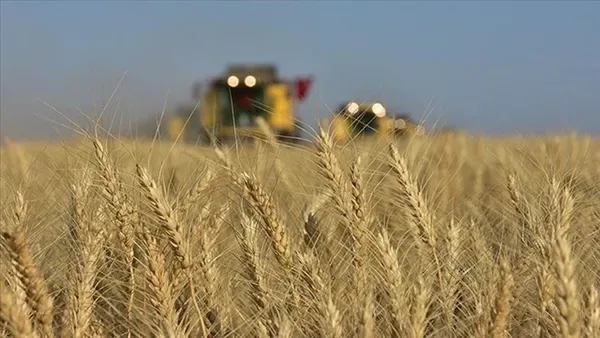 Türkiye'nin tarımsal hasılatı 2025'te 83,2 milyar dolara ulaşacak