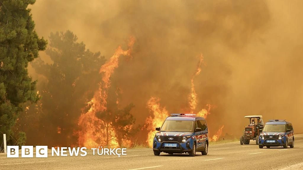 Muğla'daki orman yangını 'çok geniş bir alanda etkili'