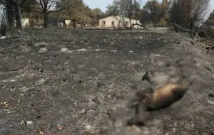 Barcelona metrosunda yangın paniği: 39 kişi hastanelik oldu — 2