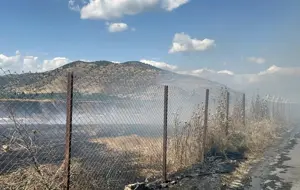 Dışişleri Bakanı Hakan Fidan, BM Genel Sekreteri Guterres ile görüştü - 8