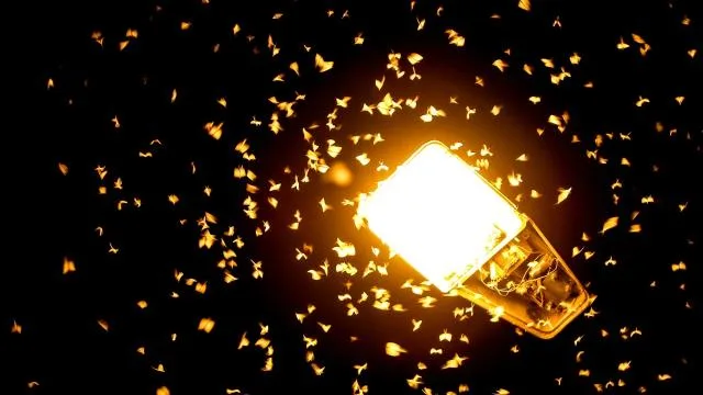 Atama ve görevden alma kararları Resmi Gazete'de yayımlandı