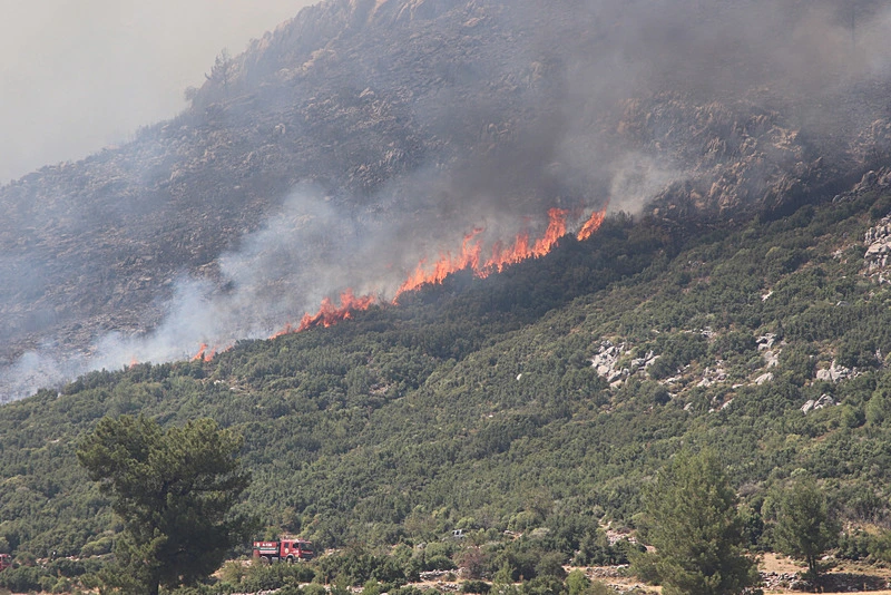Kaş’ta orman yangını!