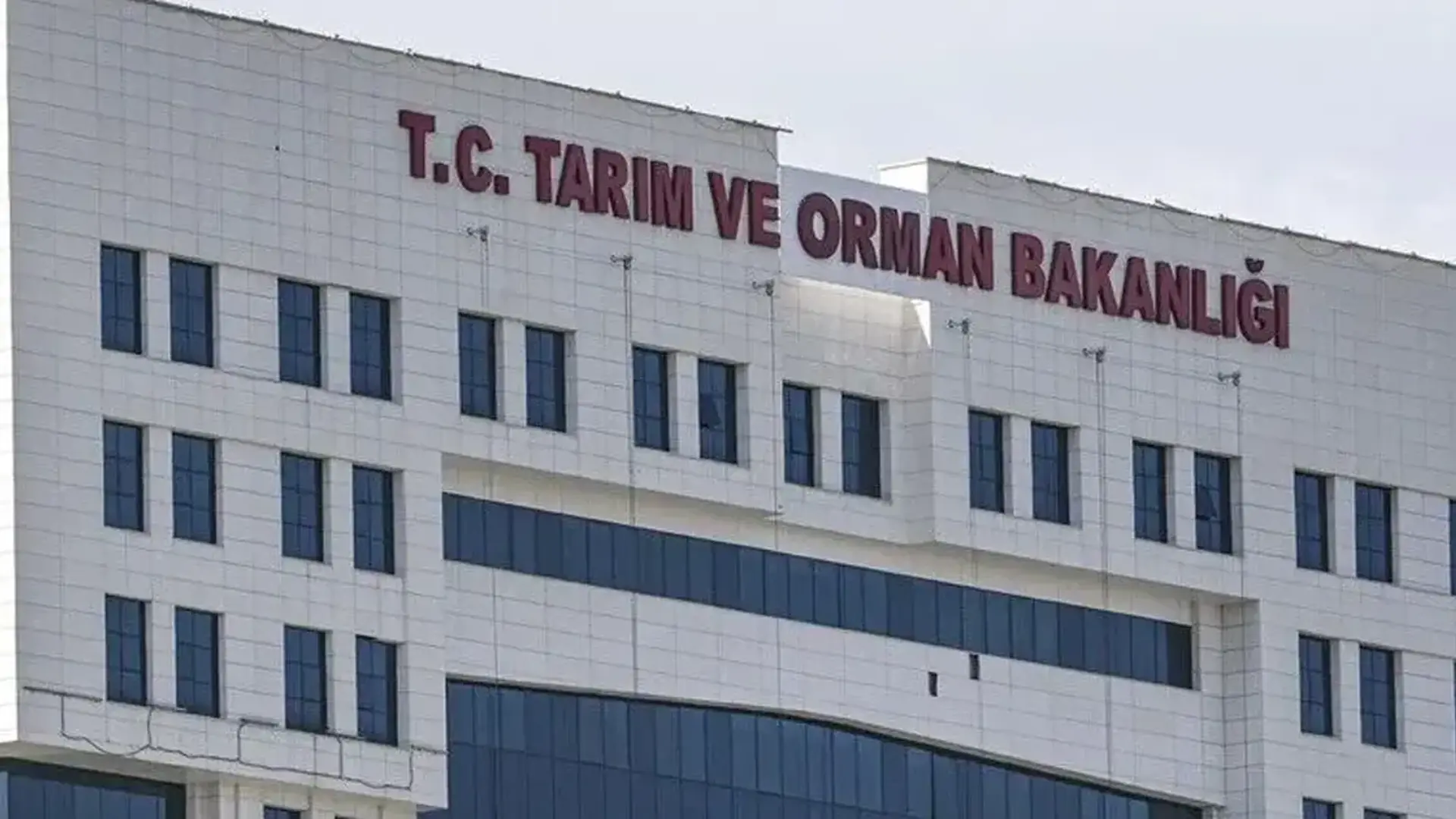 7 ilde orman yangını alarmı! Tarım ve Orman Bakanlığı: Müdahale sürüyor
