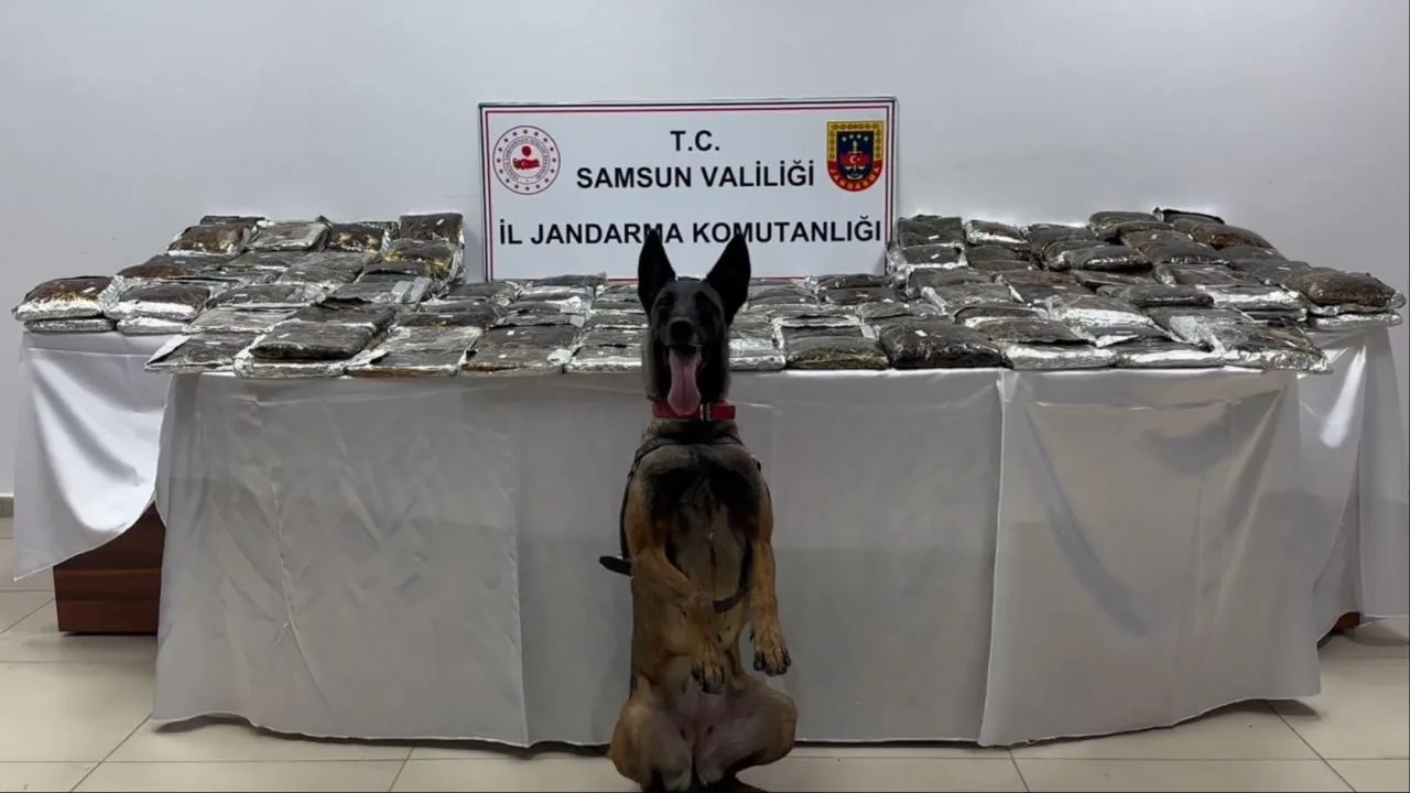 Samsun'da bir tırda 132 kilogram uyuşturucu ele geçirildi