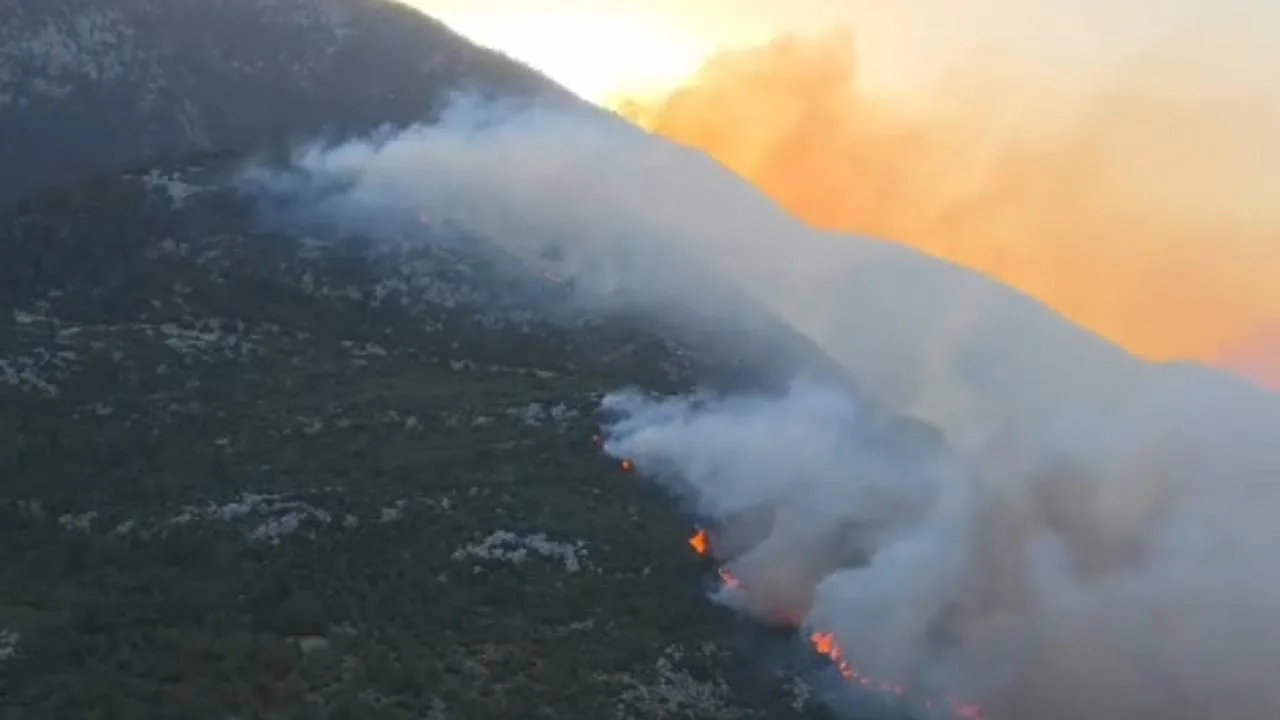 Kaş'ta orman yangınına havadan ve karadan müdahale
