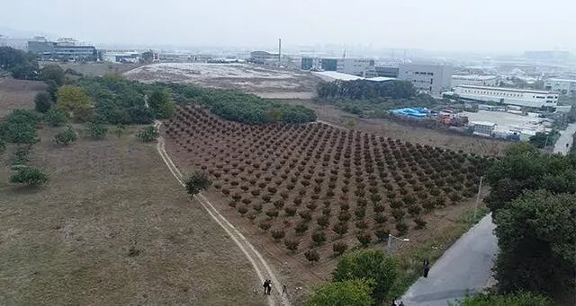 TOKİ 49 ilde 737 arsa satışa çıkıyor!