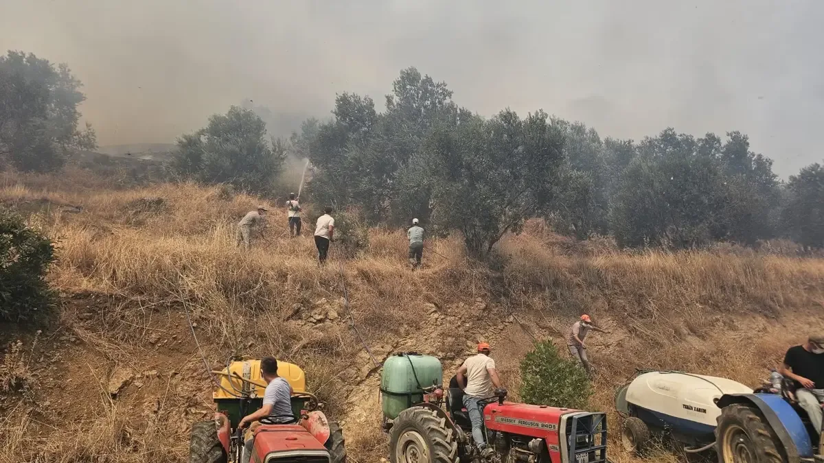 Balıkesir'deki Orman Yangınının Sebebi Belli Oldu
