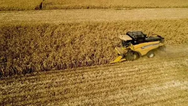 Türkiye'nin tarımsal hasılatı 2025'te 83,2 milyar dolara ulaşacak