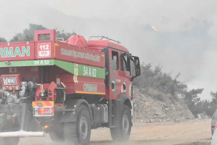 Aydın'daki orman yangınına müdahale devam ediyor