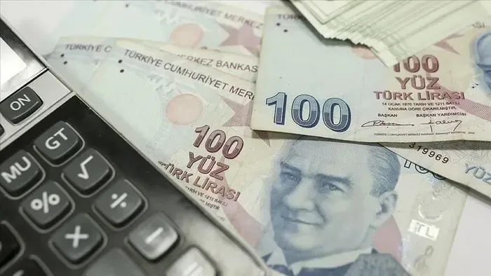 Gelir İdaresi Başkanlığı, vergi kaçakçılarına karşı denetimlerini artırdı