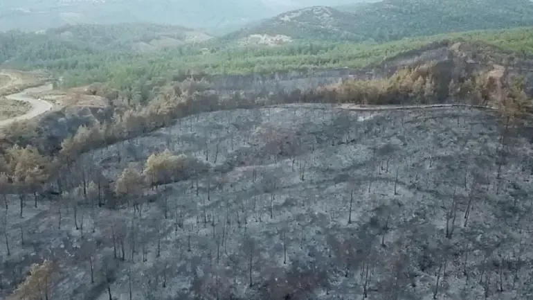 Muğla'daki Orman Yangınlarının Bilançosu: 5 Bin Hektardan Fazla Alan Zarar Gördü