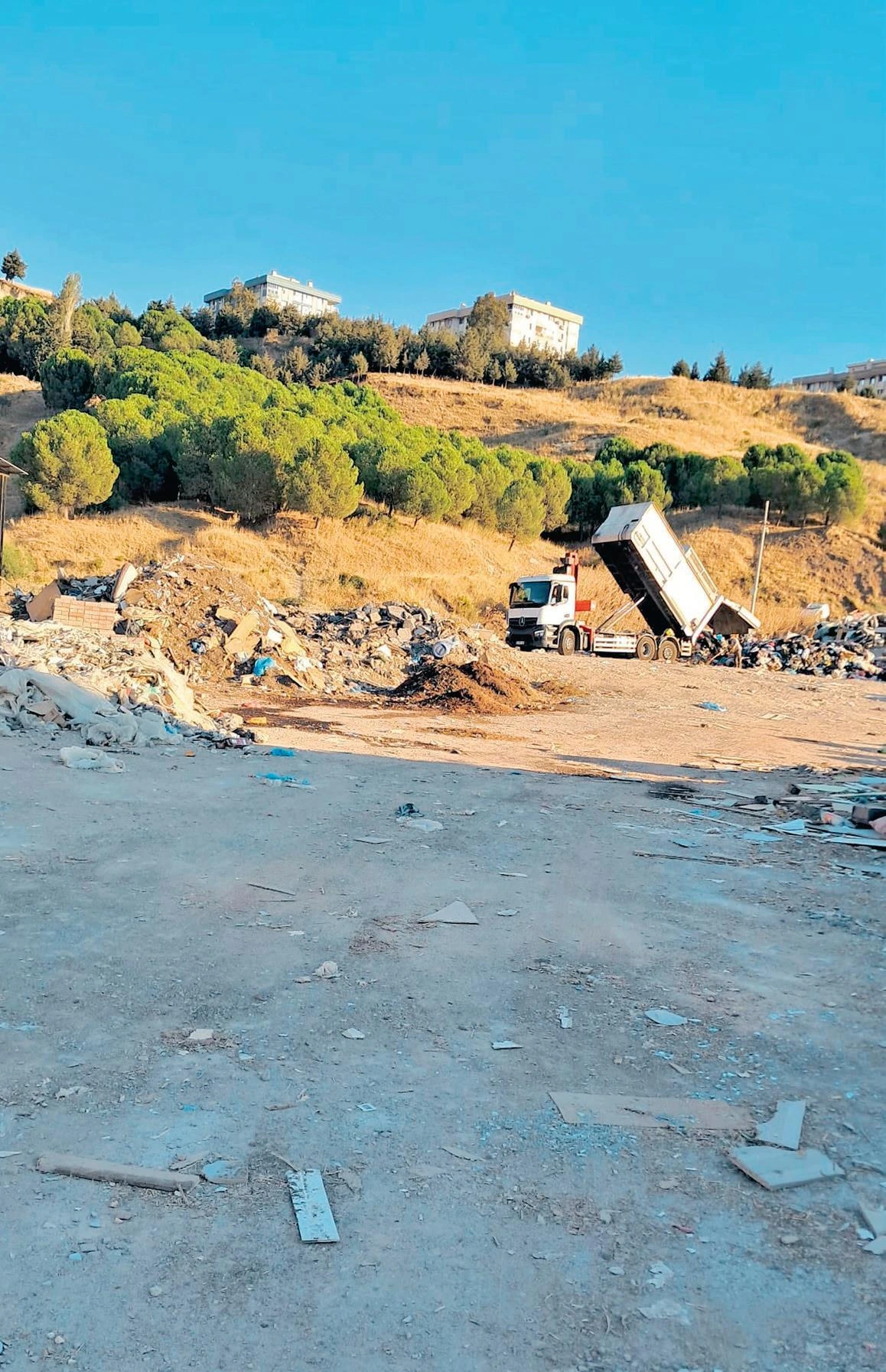 SABAH yazdı, doğa katliamı durdu