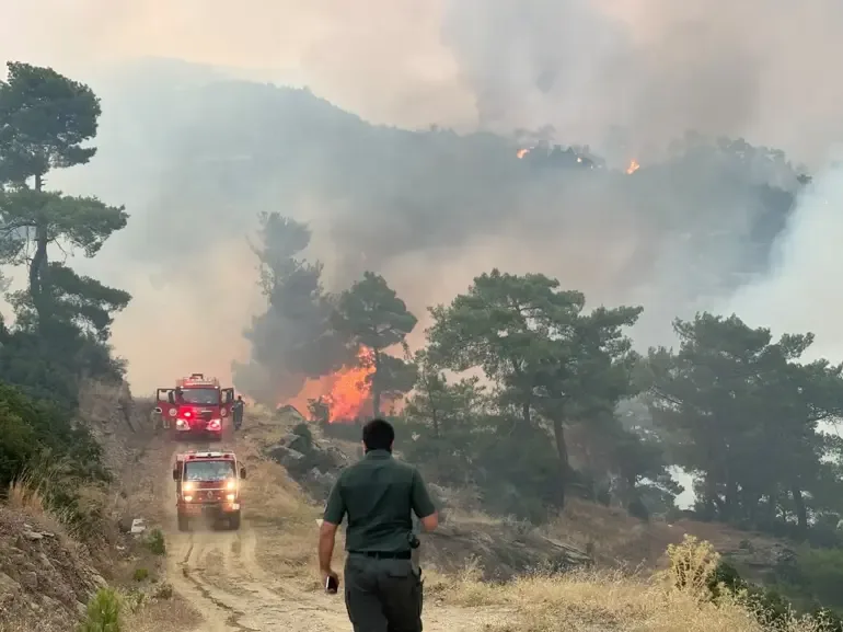 Türkiye'de Orman Yangınlarıyla Mücadele Devam Ediyor