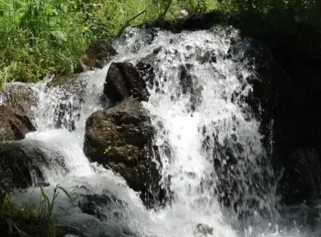 300 yıldır aynı şekilde akıyor! Trabzon'daki yaşam pınarı yazın soğuk, kışın ılık